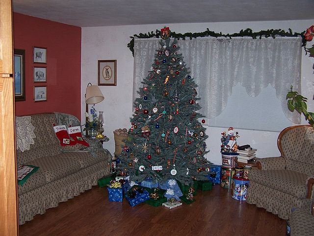 Auf dem Bild ist ein Weihnachtsbaum und Geschenke zu sehen