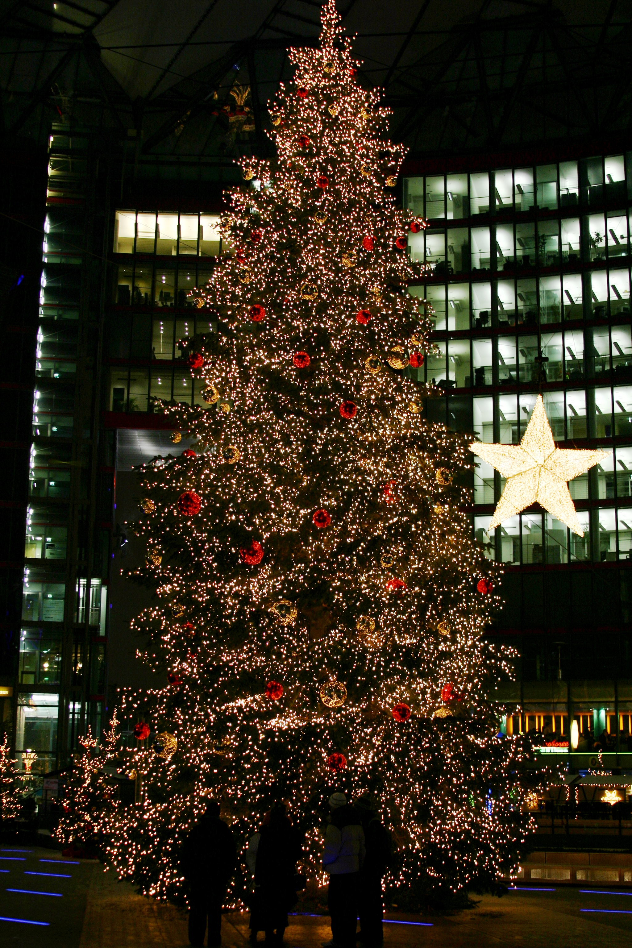 Auf dem Bild ist ein Weihnachtsbaum zu sehen