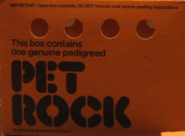 Auf dem Bild ist ein Pet Rock Schachtel zu sehen