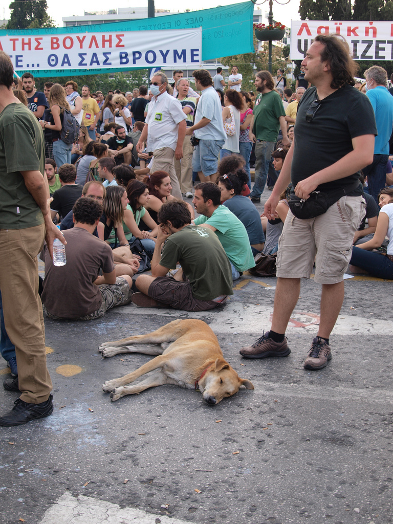 Auf dem Bild ist der Hund Loukanikos und Demonstranten zu sehen