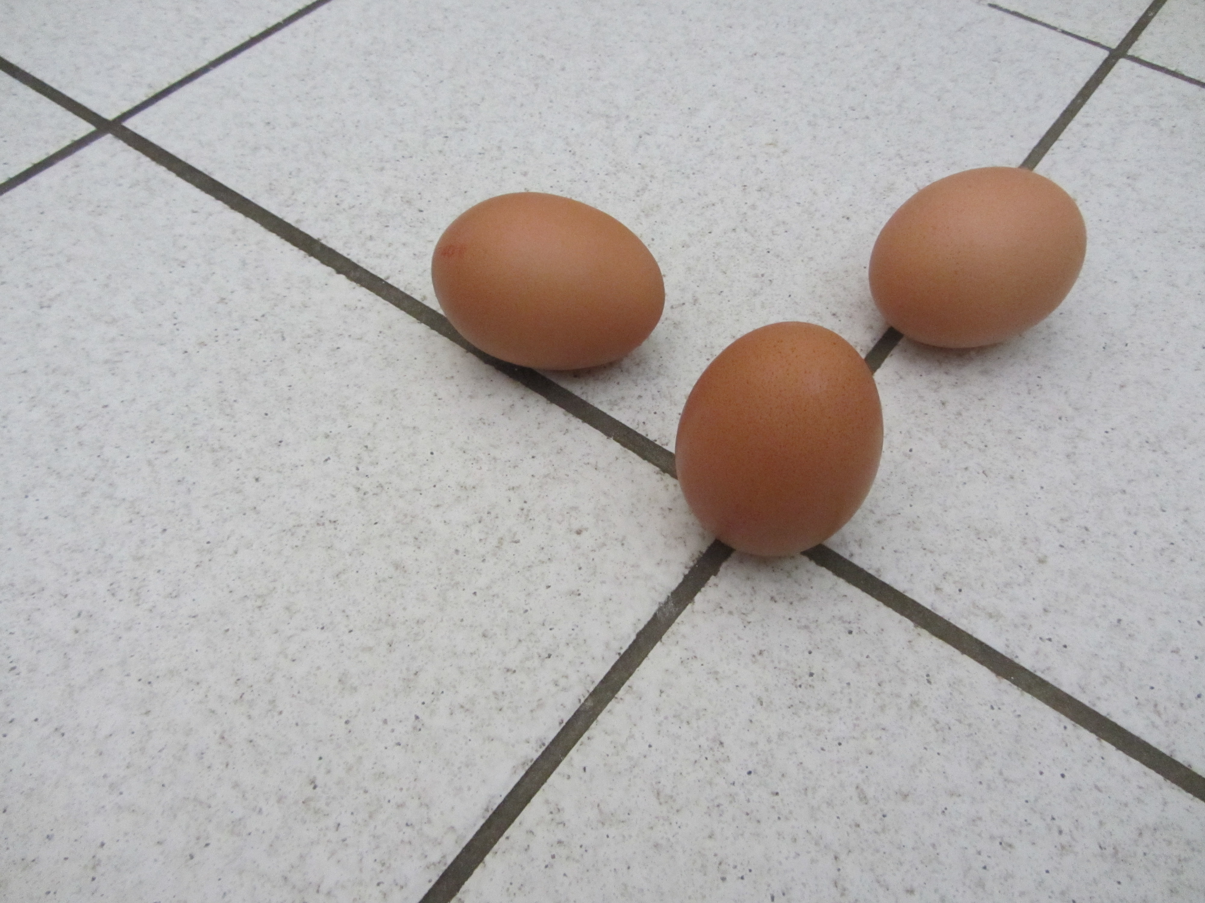 Datei:Eier(Kochen).JPG