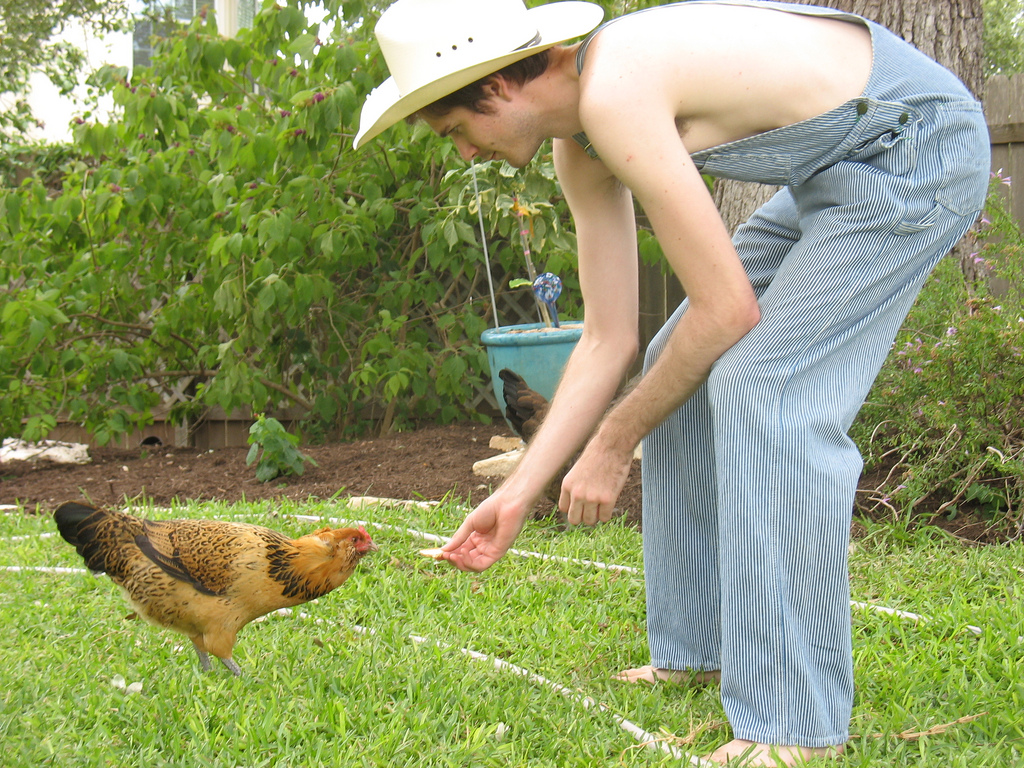 Auf dem Bild ist ein Mann zu sehen der ein Huhn füttert