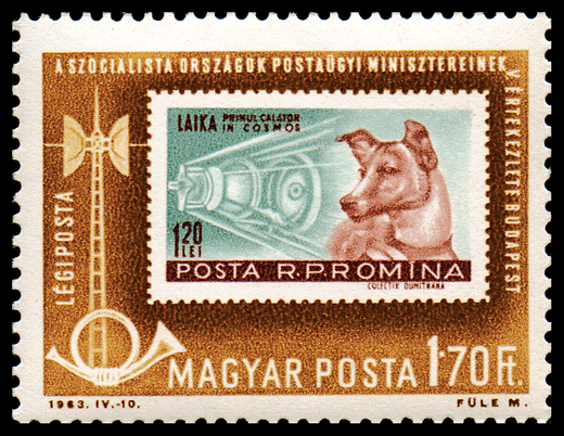 Auf dem Bild ist eine Laika-Briefmarke zu sehen